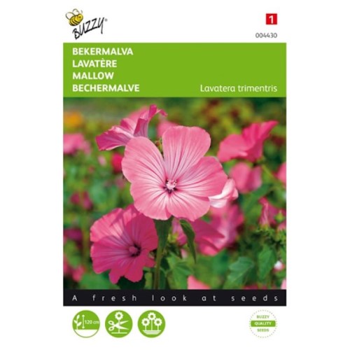 Lavatera Pink Red Seeds